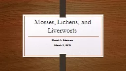 Mosses, Lichens, and Liverworts