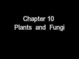 Chapter 10 Plants  and  Fungi