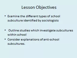 Lesson Objectives  Examine the different types of school subculture identified by sociologists
