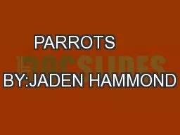 PARROTS               BY:JADEN HAMMOND