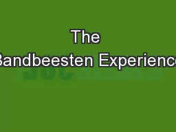 The Bandbeesten Experience