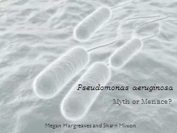 Pseudomonas aeruginosa Myth or Menace?