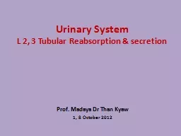 Urinary System  L 2, 3 Tubular Reabsorption & secretion