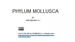PHYLUM MOLLUSCA BY MRS OZEMOKA H.J