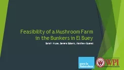 Feasibility of a Mushroom Farm in the B