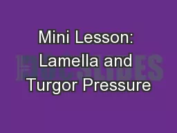 Mini Lesson: Lamella and Turgor Pressure