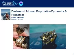 1/13 Dreissenid Mussel Population Dynamics & Processes