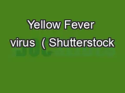Yellow Fever virus  ( Shutterstock
