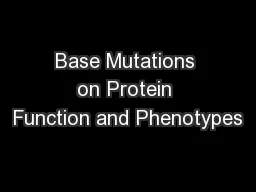 Base Mutations on Protein Function and Phenotypes