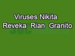 Viruses Nikita  Reveka  Rian  Granito