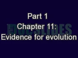 Part 1 Chapter 11:  Evidence for evolution