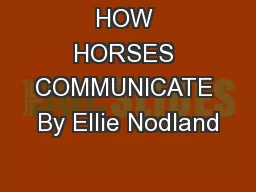 HOW HORSES COMMUNICATE By Ellie Nodland