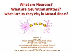 What are Neurons? What are Neurotransmitters?