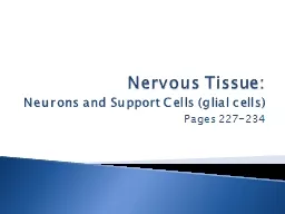Nervous Tissue: Neurons and Support Cells (