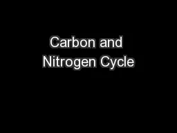 Carbon and Nitrogen Cycle