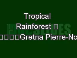 Tropical Rainforest 	 					Gretna Pierre-Noel