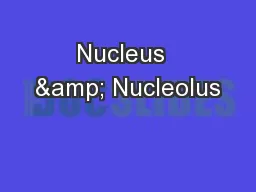 Nucleus  & Nucleolus