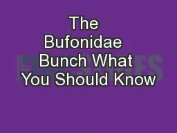 The  Bufonidae  Bunch What You Should Know