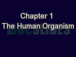 Chapter 1 The Human Organism