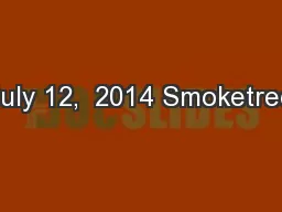 July 12,  2014 Smoketree