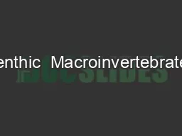 Benthic  Macroinvertebrates