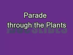 Parade through the Plants