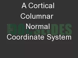 A Cortical Columnar  Normal Coordinate System