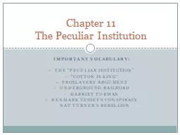 Important Vocabulary: The “peculiar Institution”