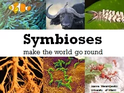 Symbioses   make the world go round