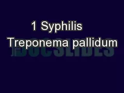1 Syphilis   Treponema pallidum