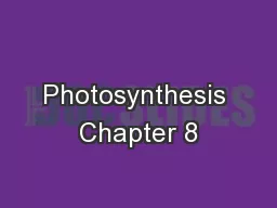 Photosynthesis Chapter 8