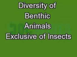 Diversity of Benthic Animals Exclusive of Insects