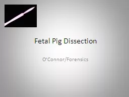 Fetal Pig Dissection O’Connor/Forensics