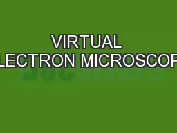 VIRTUAL ELECTRON MICROSCOPE