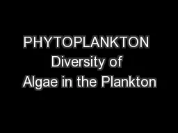 PHYTOPLANKTON Diversity of Algae in the Plankton