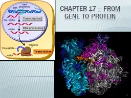 Chapter 17 – from gene to protein