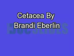 Cetacea By Brandi Eberlin