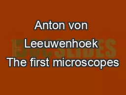 Anton von Leeuwenhoek The first microscopes