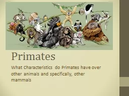 Primates What Characteristics do Primates have over other animals and specifically, other