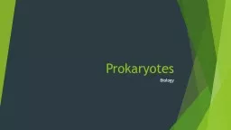 Prokaryotes Biology What are Prokaryotes?