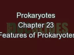 Prokaryotes Chapter 23 Features of Prokaryotes