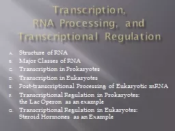 Transcription,  RNA Processing, and Transcriptional Regulation