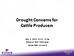 Drought Concerns for  Cattle Producers