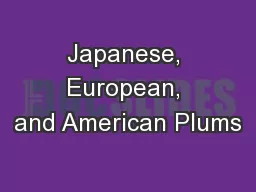 Japanese, European, and American Plums