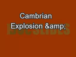 Cambrian  Explosion &