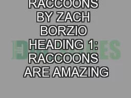RACCOONS BY ZACH BORZIO HEADING 1: RACCOONS ARE AMAZING