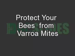 Protect Your Bees  from Varroa Mites