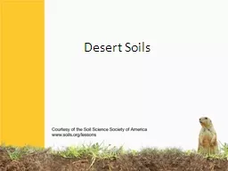 Desert Soils Deserts can be
