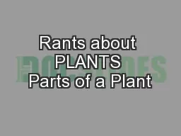 Rants about PLANTS Parts of a Plant