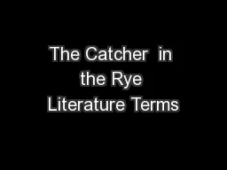 The Catcher  in the Rye Literature Terms